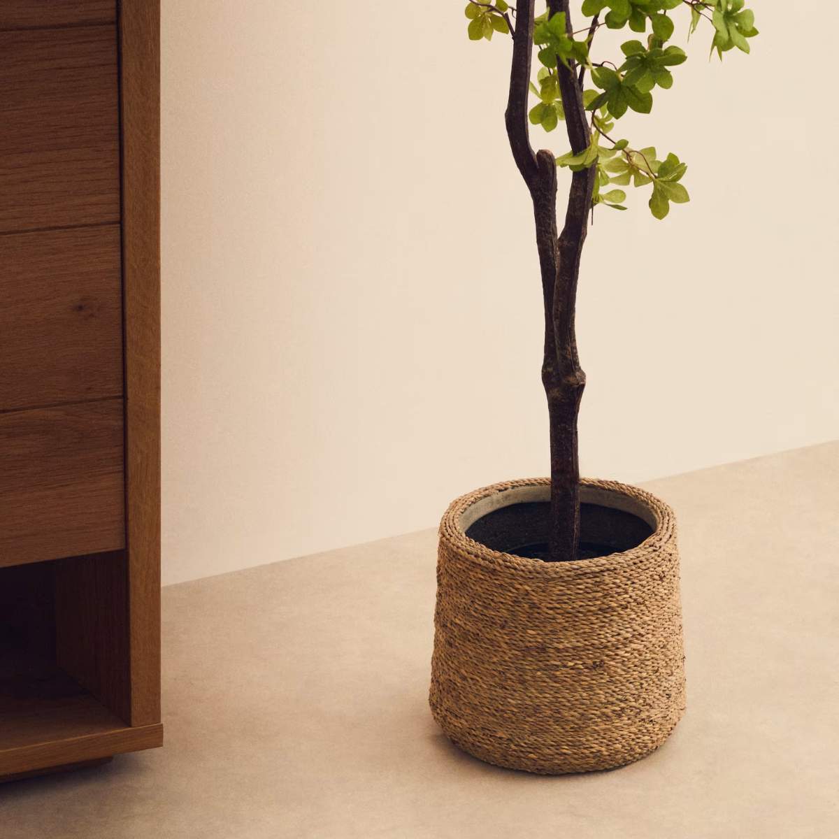 Kave Home Sigal set of 2 cement plant pots in a natural finish, Ø 24 cm / 31 cm