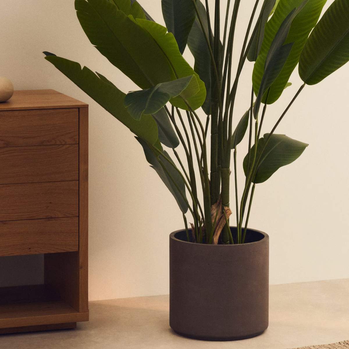 Kave Home Sintina set of 3 grey cement and fiberglass plant pots Ø 23 cm / Ø 27.5 cm / 32 cm