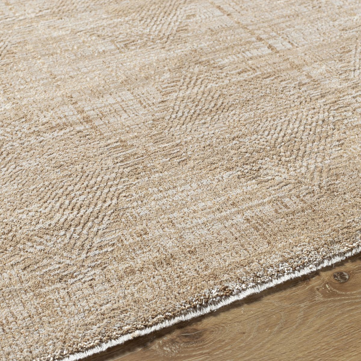 Surya Livabliss Masterpiece Modern Graphic Fringe Rug