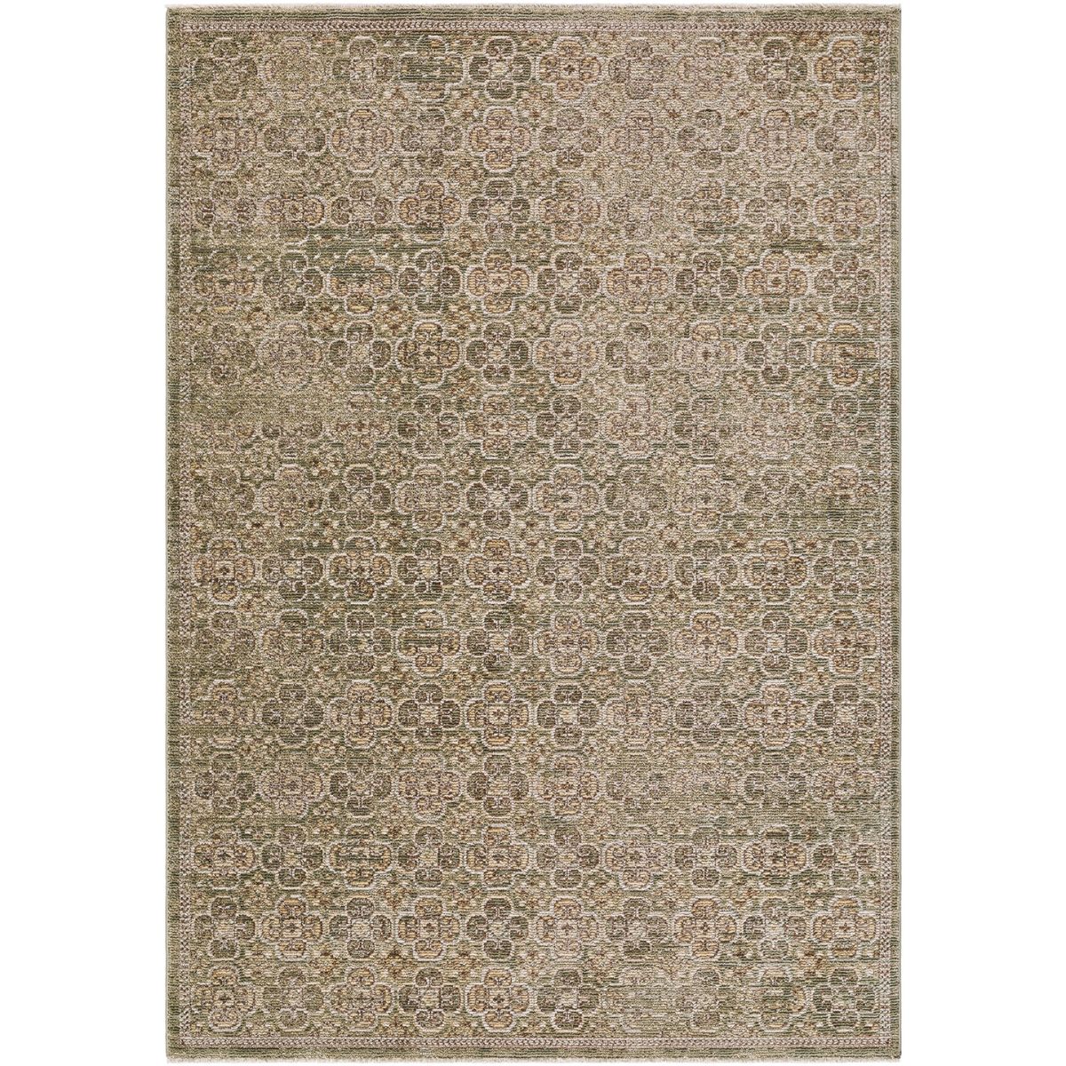 Surya Livabliss Myrtle Avenue II Galey Alix Vintage Traditional Boho Fringe Rug