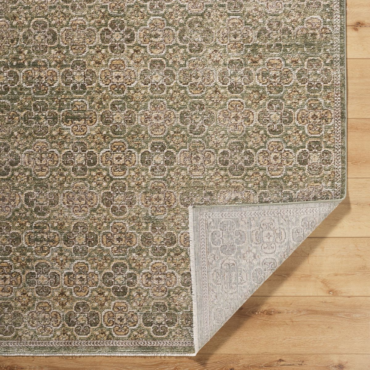 Surya Livabliss Myrtle Avenue II Galey Alix Vintage Traditional Boho Fringe Rug