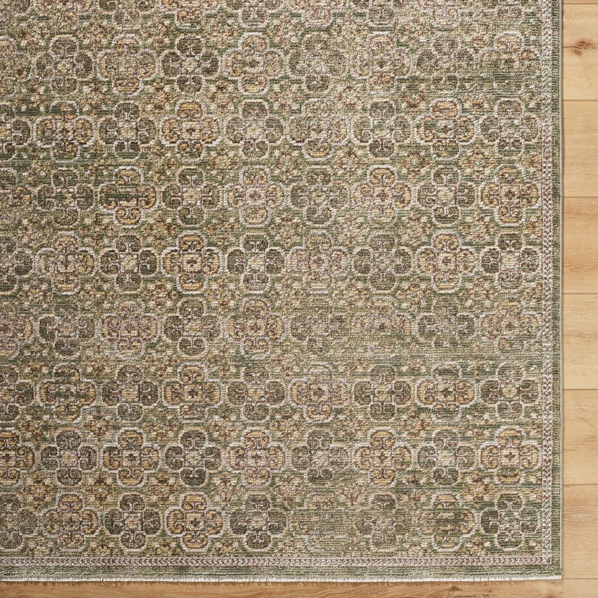 Surya Livabliss Myrtle Avenue II Galey Alix Vintage Traditional Boho Fringe Rug