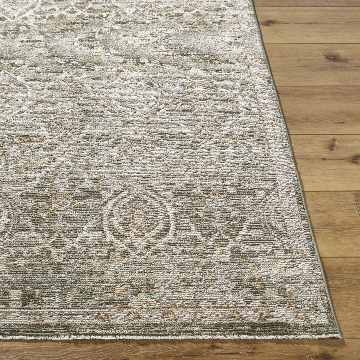 Surya Livabliss Myrtle Avenue VI Galey Alix Vintage Traditional Boho Fringe Rug