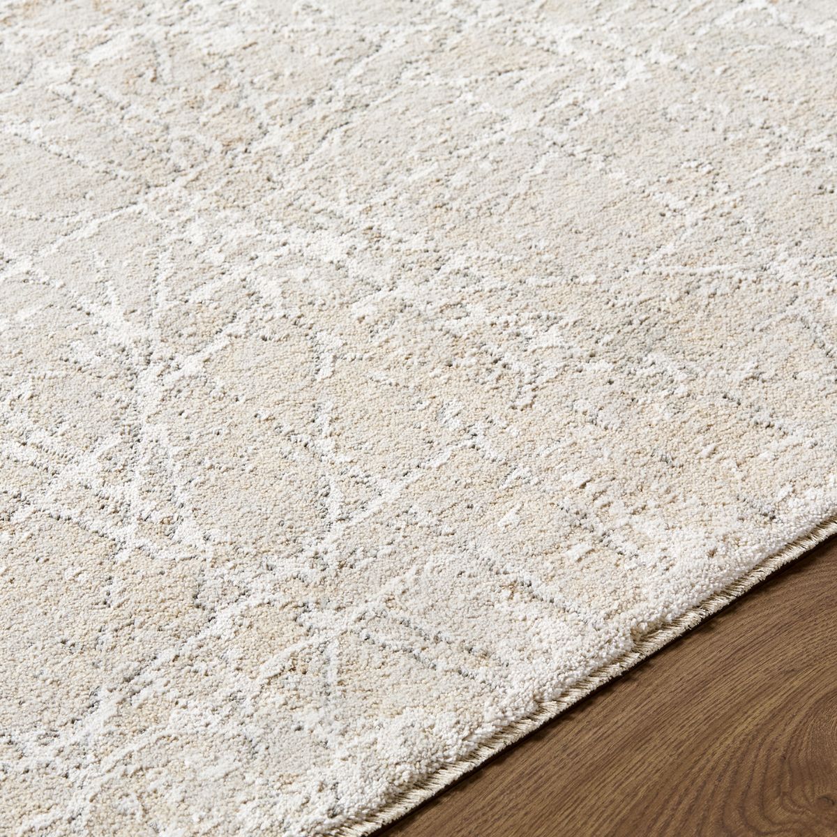 Surya Livabliss Nathan Modern Graphic Fringe Rug