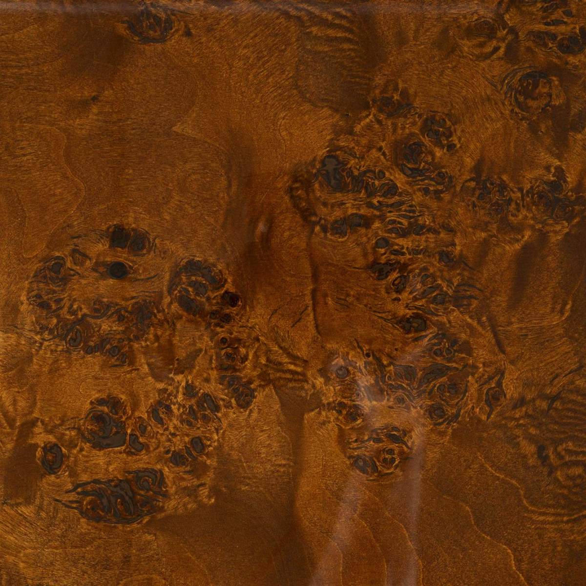 Dutch Bone Table Quinn