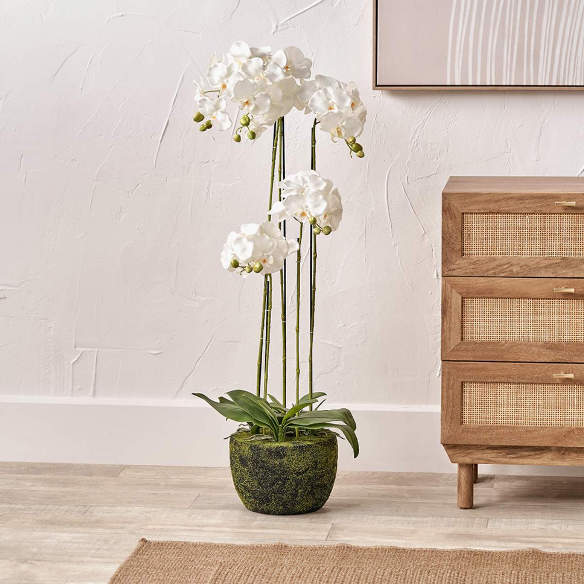 Pacific Lifestyle Tall White Orchid in Moss Pot
