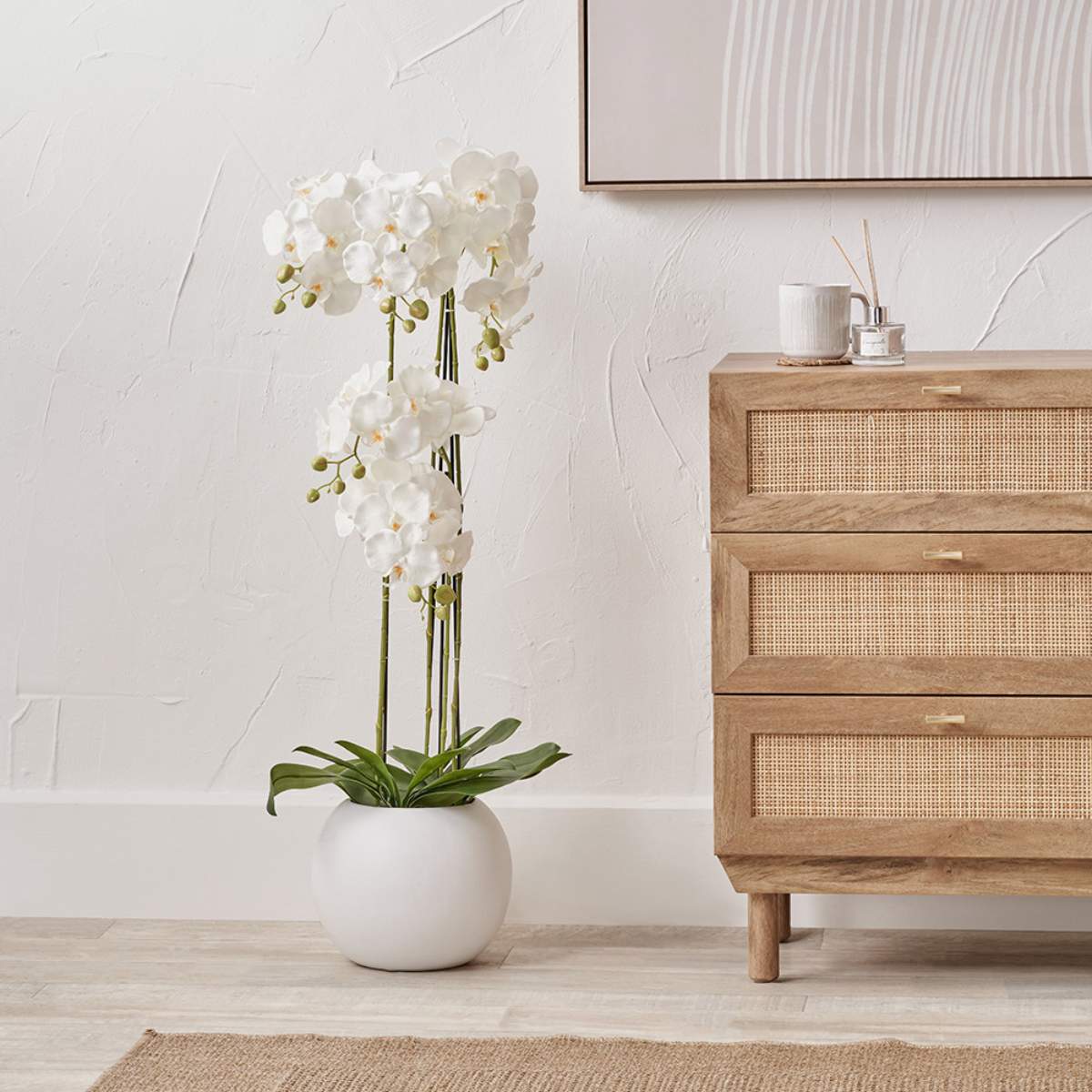 Pacific Lifestyle Tall White Orchid in Pot