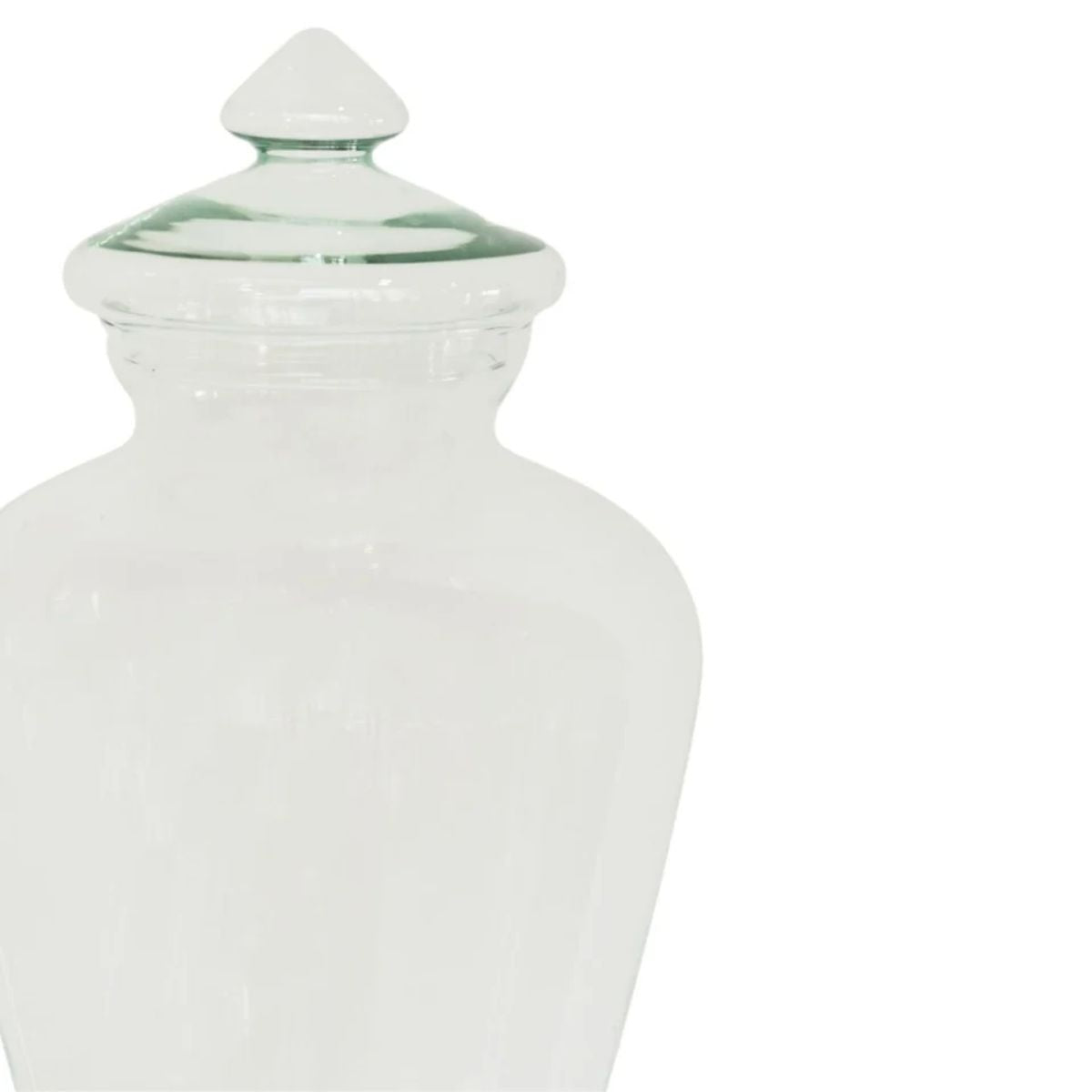 Ivyline Teardrop Glass Lid Terrarium H45cm D25cm