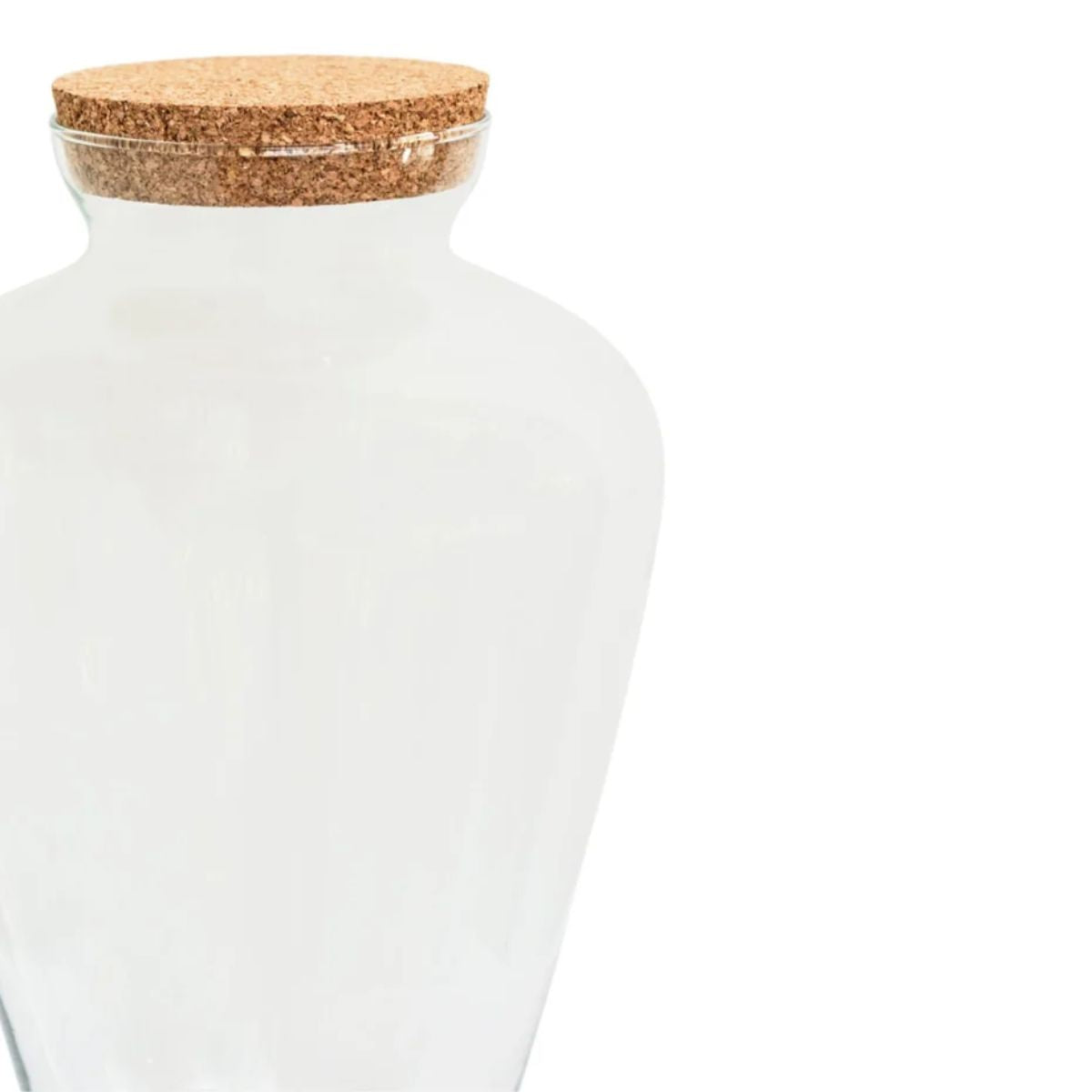 Ivyline Teardrop Cork Lid Terrarium Large H38.5cm D25cm