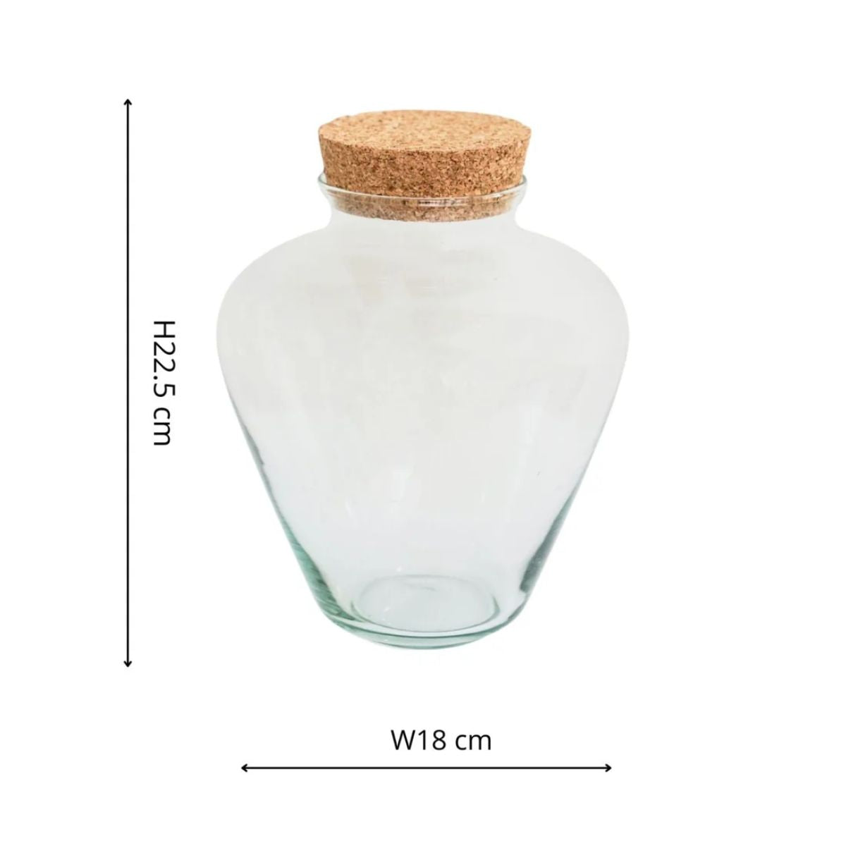 Ivyline Teardrop Cork Lid Terrarium Small H22.5cm D18cm