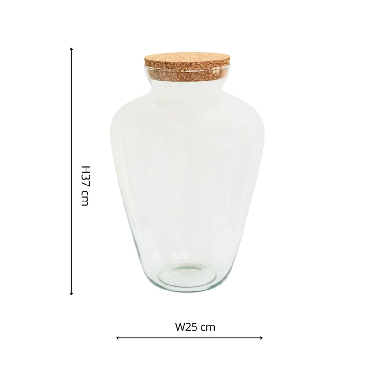 Ivyline Teardrop Cork Lid Terrarium Large H38.5cm D25cm