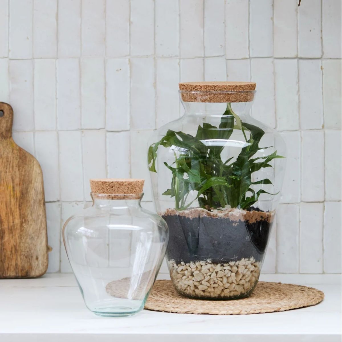 Ivyline Teardrop Cork Lid Terrarium Large H38.5cm D25cm