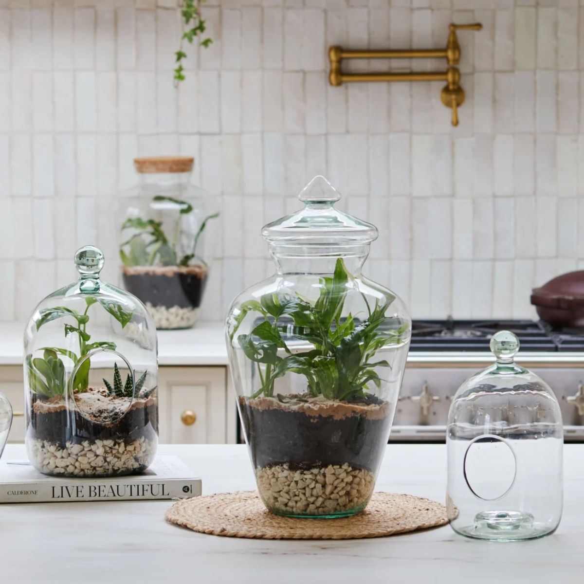 Ivyline Teardrop Glass Lid Terrarium H45cm D25cm