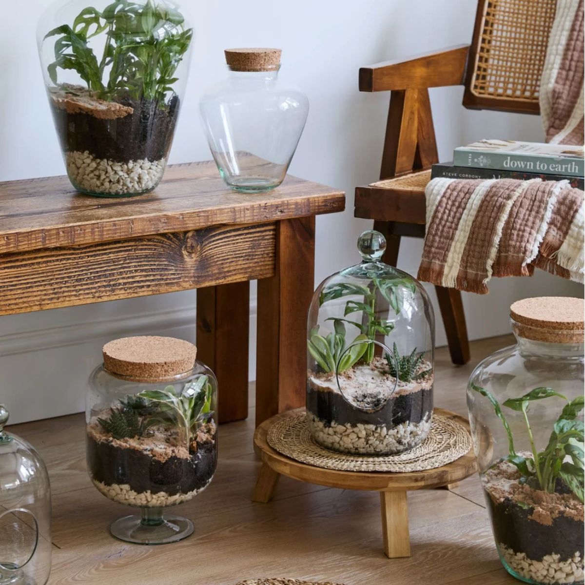 Ivyline Teardrop Cork Lid Terrarium Small H22.5cm D18cm