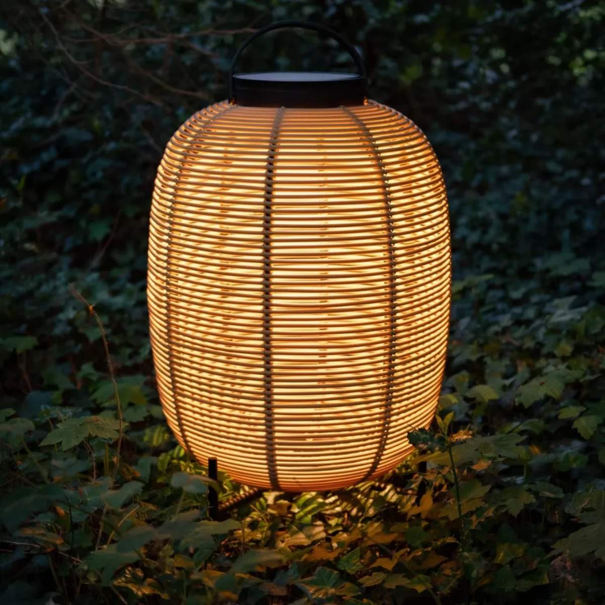 Vincent Shepherd Tika Solar Lantern Steel Base Camel Large