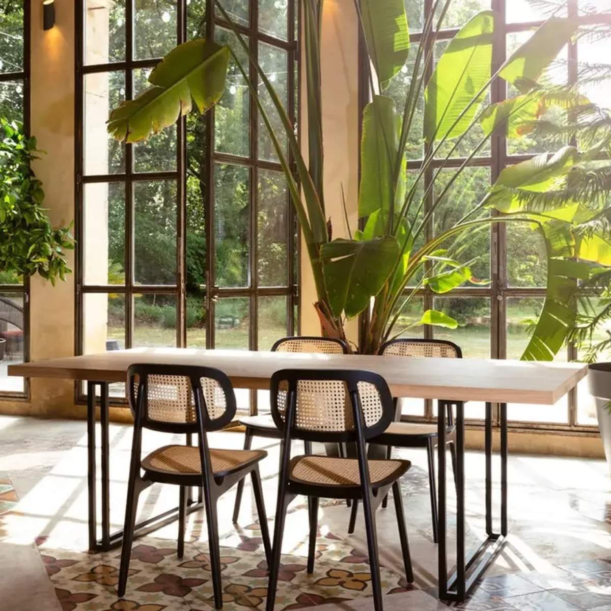 Vincent Shepherd Titus Dining Chair Black Stained Oak