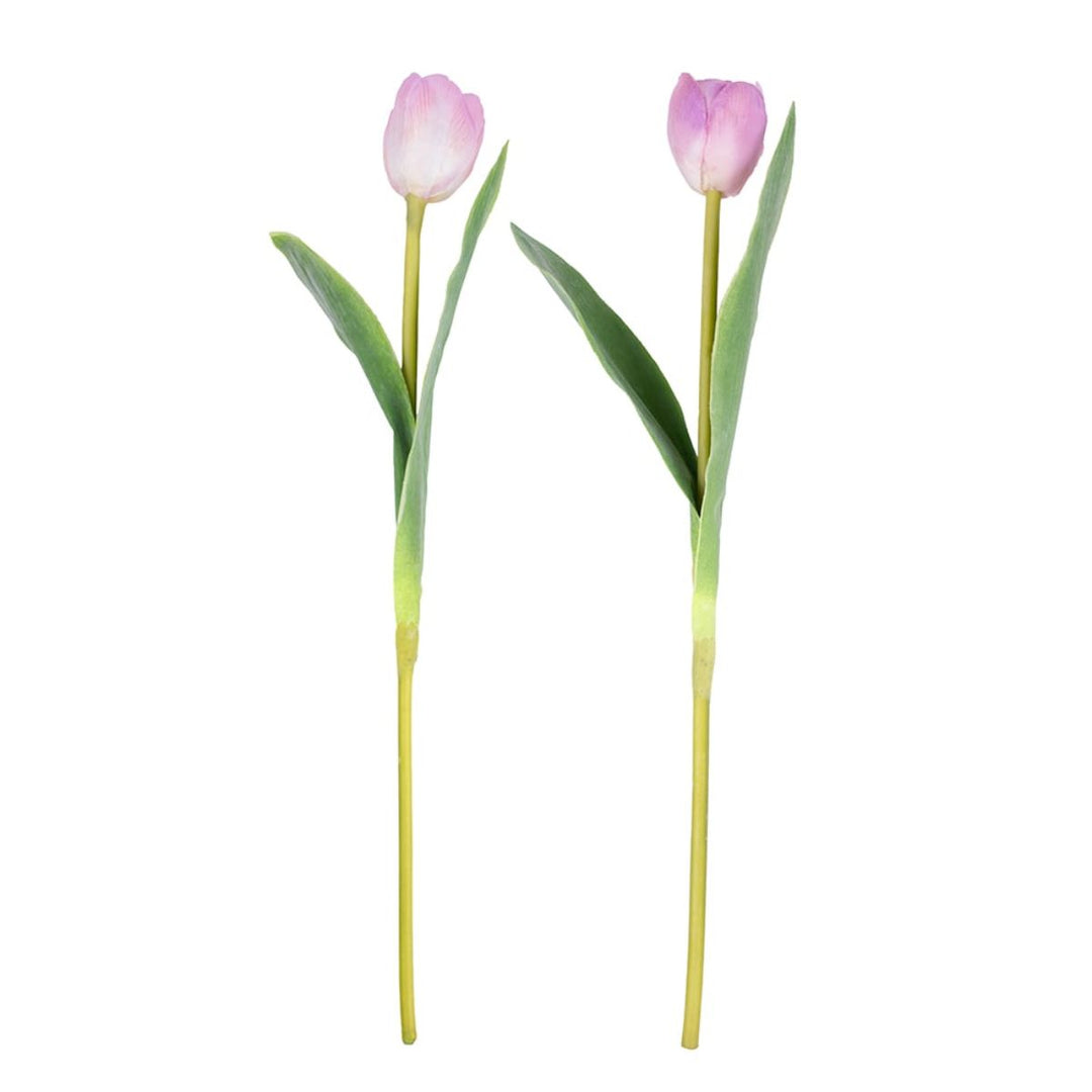 Grand Illusions Tulip Mix Mauve