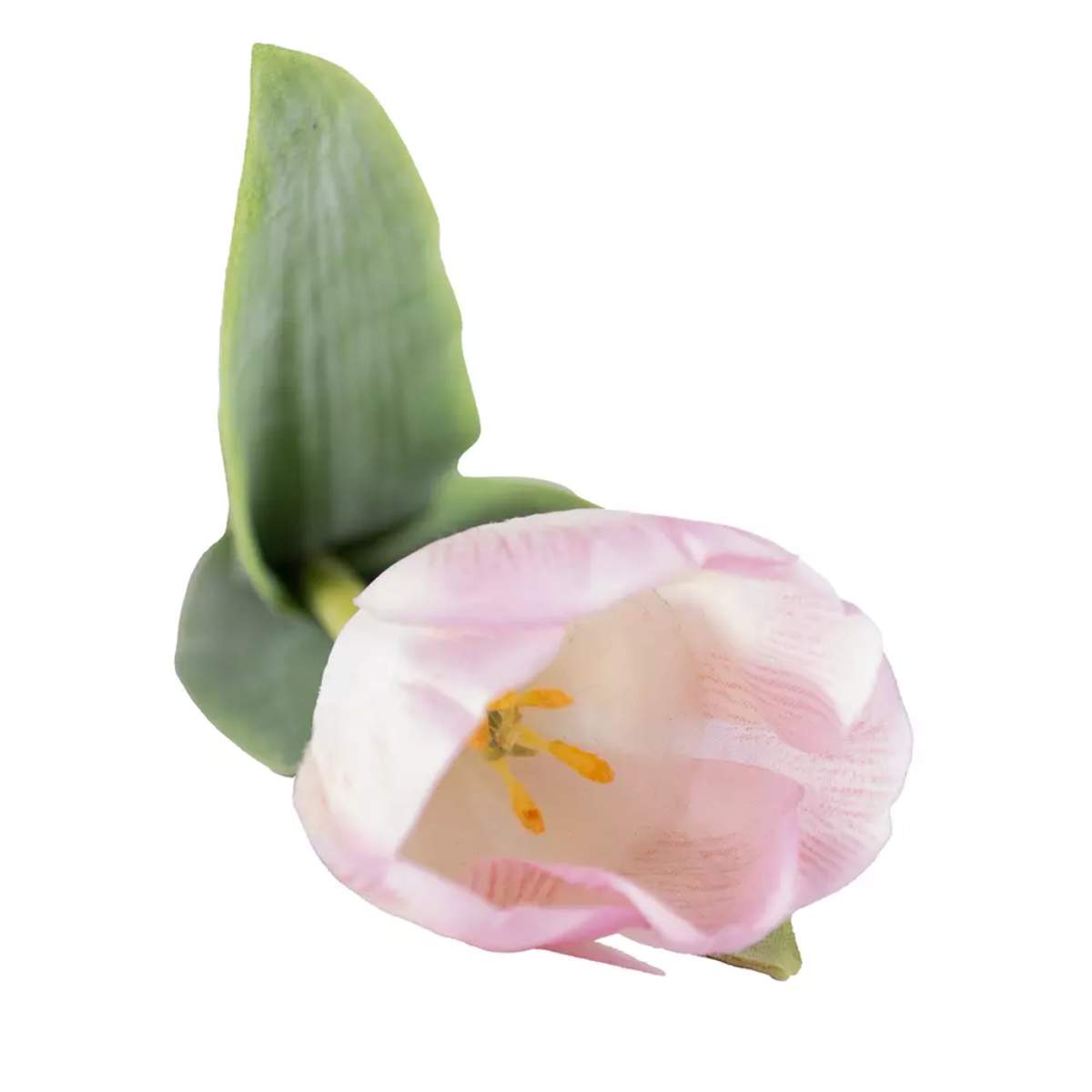 Grand Illusions Tulip Mix