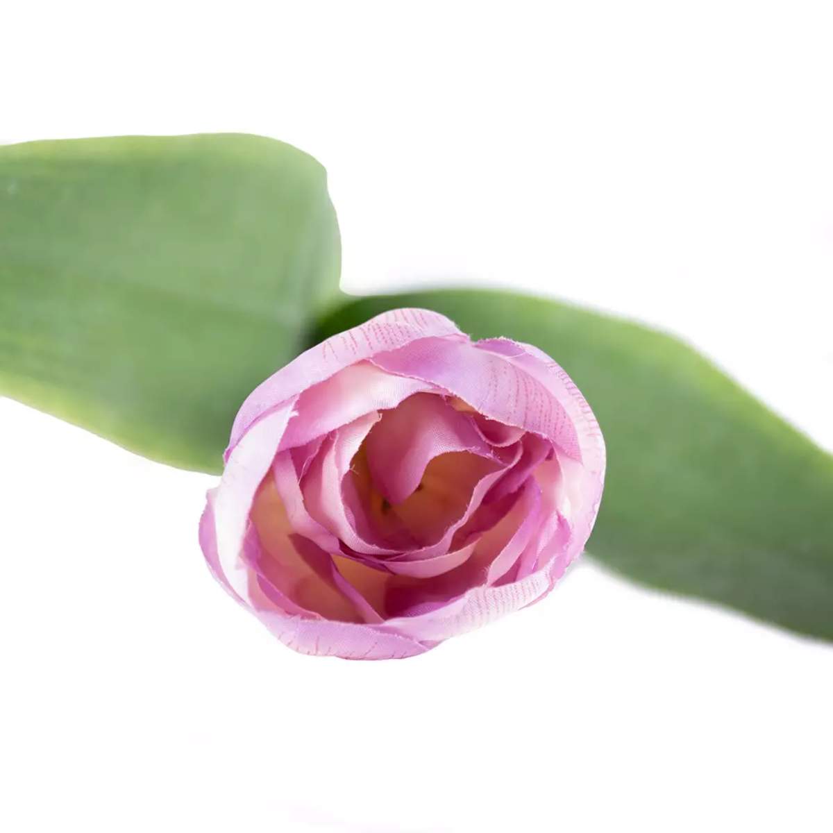 Grand Illusions Tulip Mix