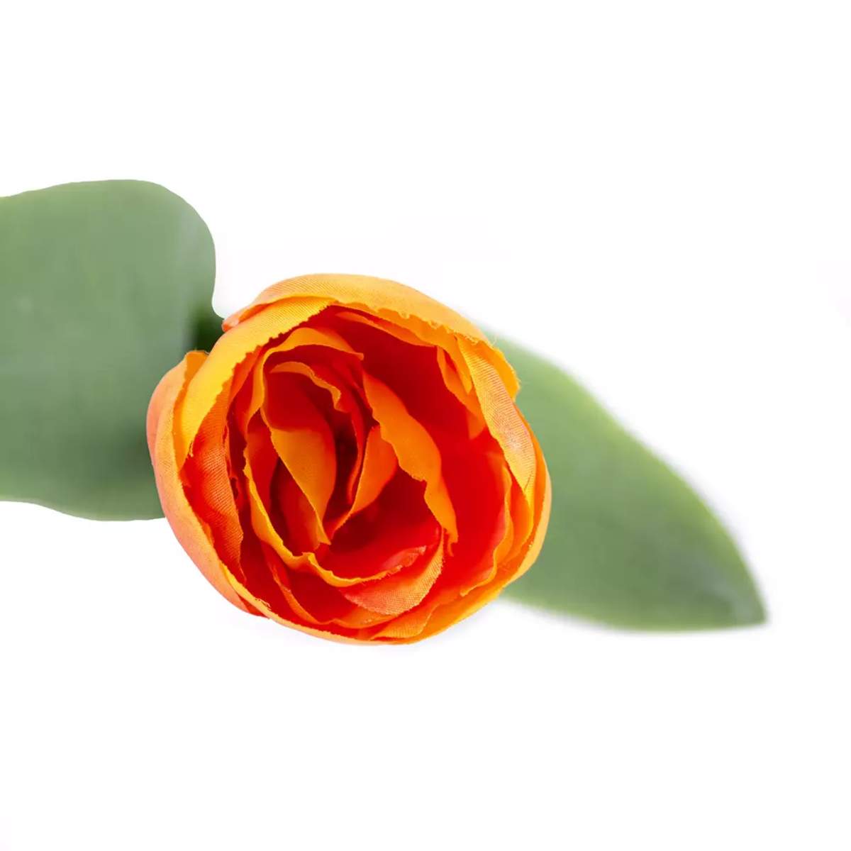 Grand Illusions Tulip Mix
