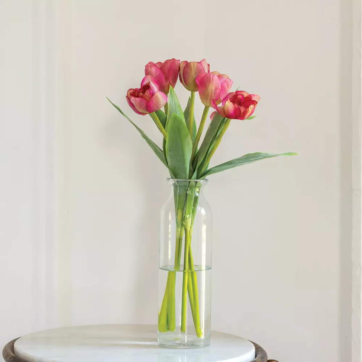 Grand Illusions Tulip Mix