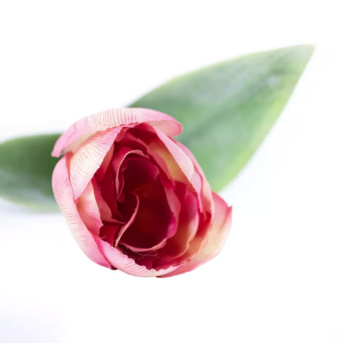 Grand Illusions Tulip Mix