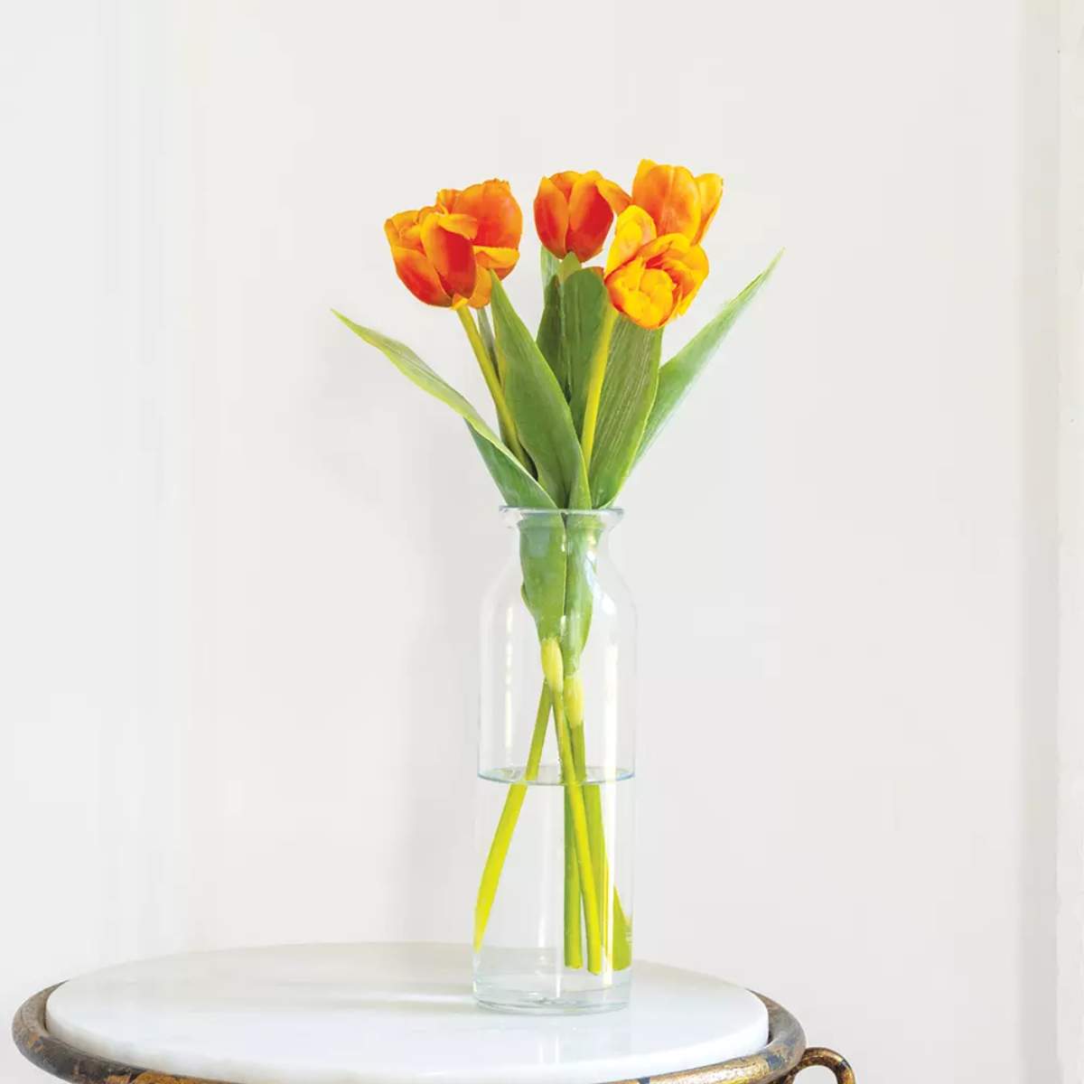 Grand Illusions Tulip Mix