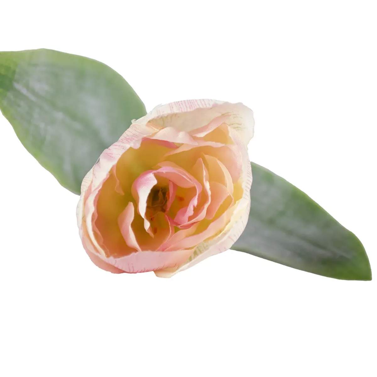 Grand Illusions Tulip Mix