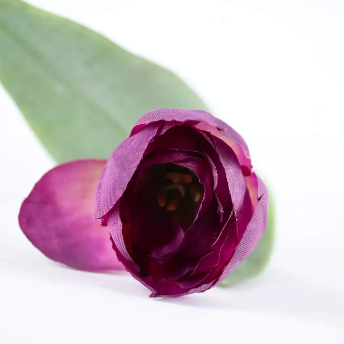 Grand Illusions Tulip Mix
