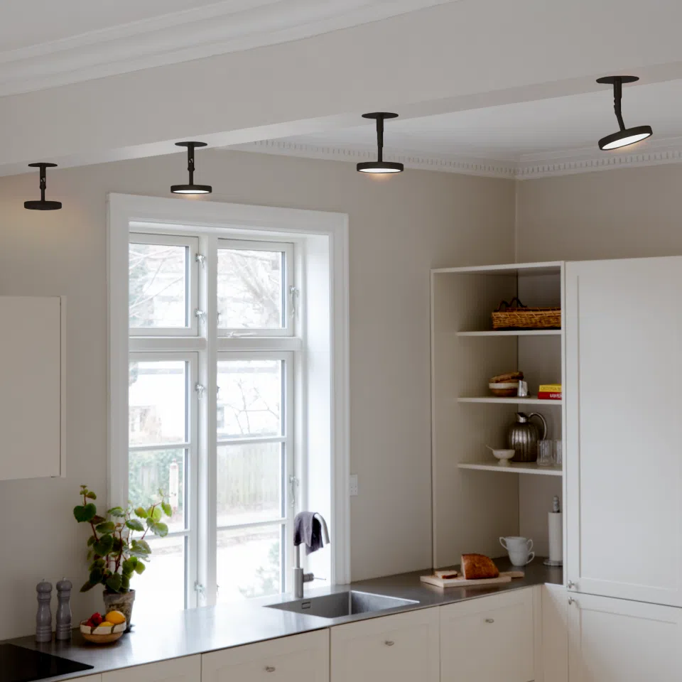 Umage Asteria Spot Light In Black