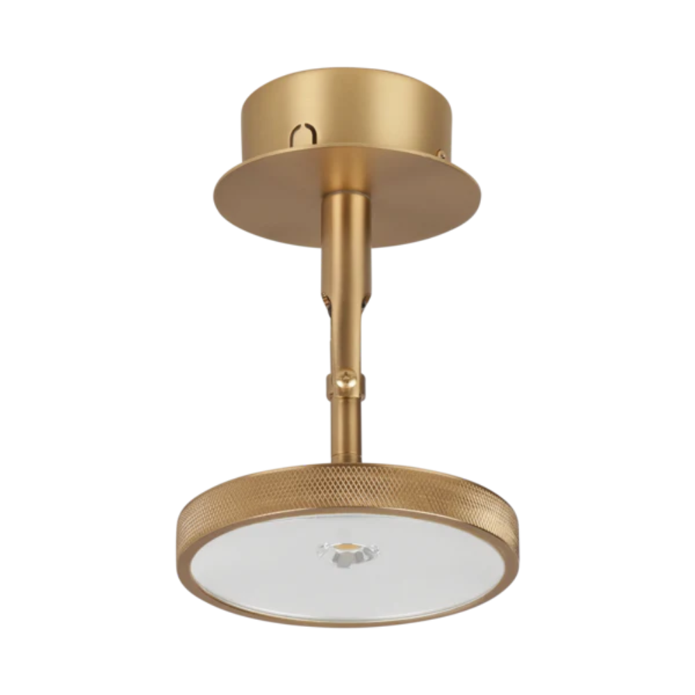 Umage Asteria Spot Light In Polished Brass 5-70b6-449c-9fc2-1530876f6d6d