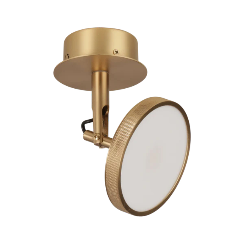 Umage Asteria Spot Light In Polished Brass