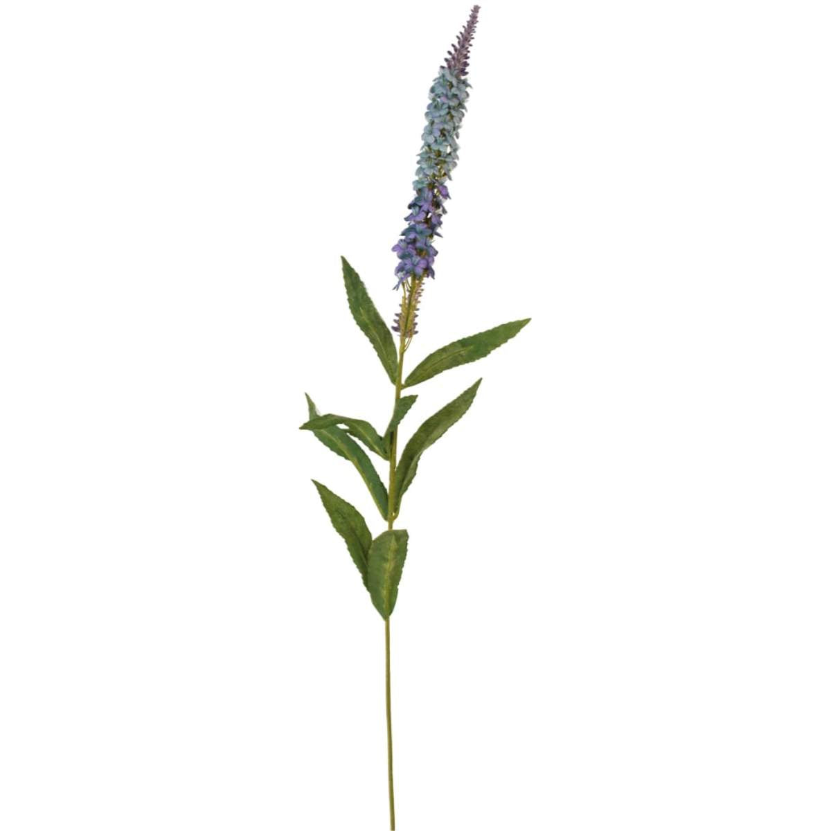 Grand Illusions Veronica Spray Blue