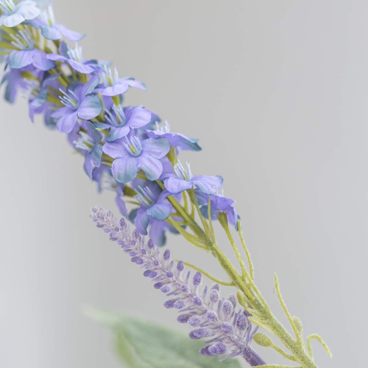 Grand Illusions Veronica Spray Blue