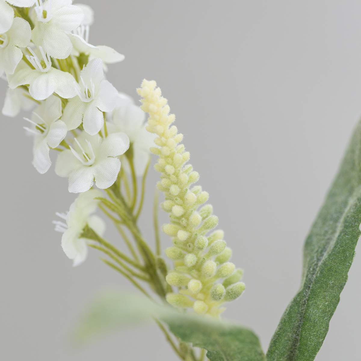 Grand Illusions Veronica Spray White