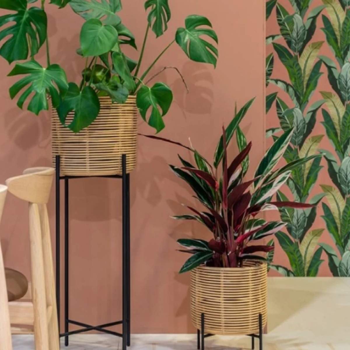 Vincent Shepherd Vivi Indoors Plant Stand