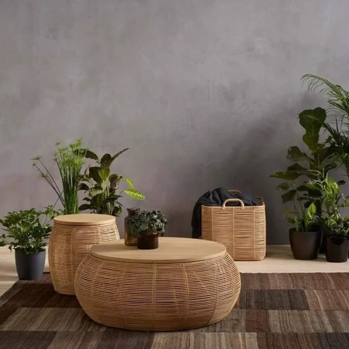 Vincent Shepherd Vivi Rattan Coffee Table Dia 77