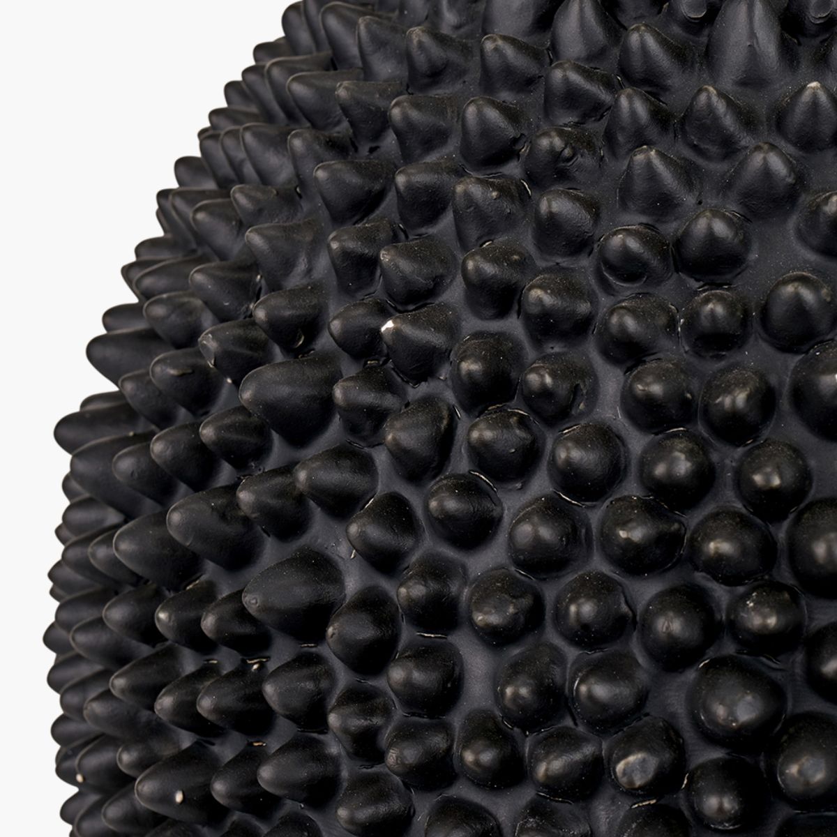 Pacific Lifestyle Wrenley Black Ceramic Sea Urchin Table Lamp Base