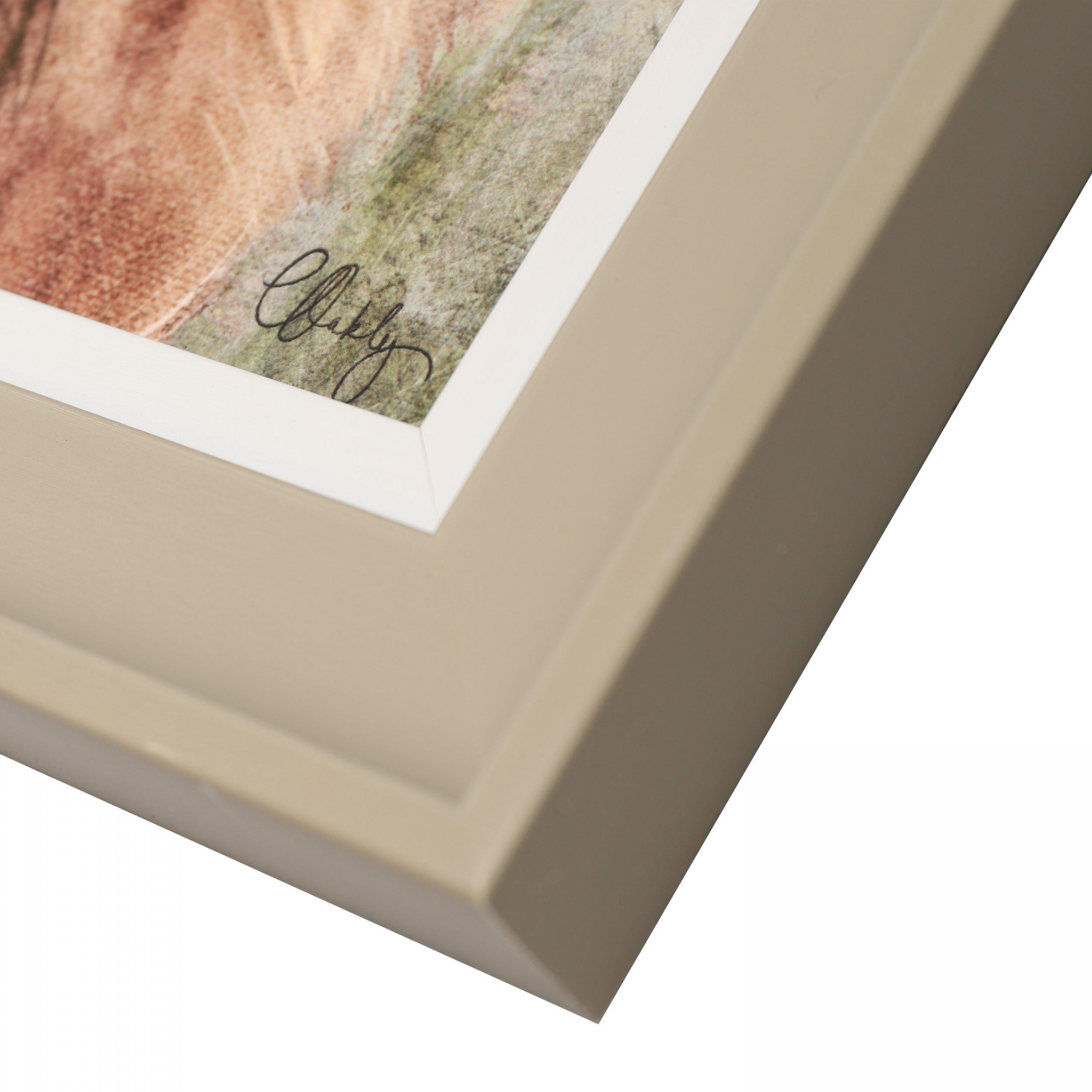 Art Marketing Frasier Picture-AML01845-5015807054489-Beaumonde