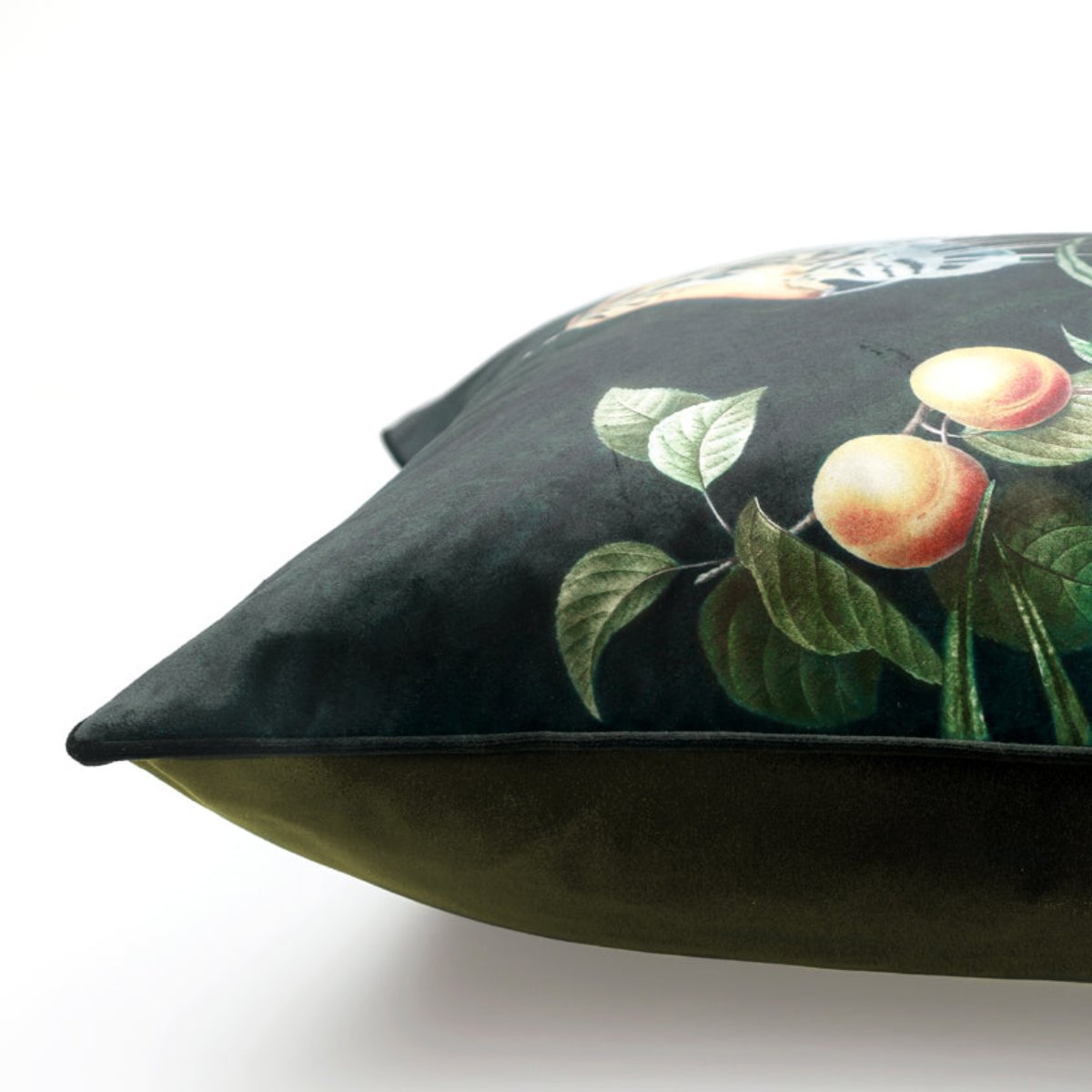 Avalana Caspian Tigress Piped Velvet Cushion-Beaumonde