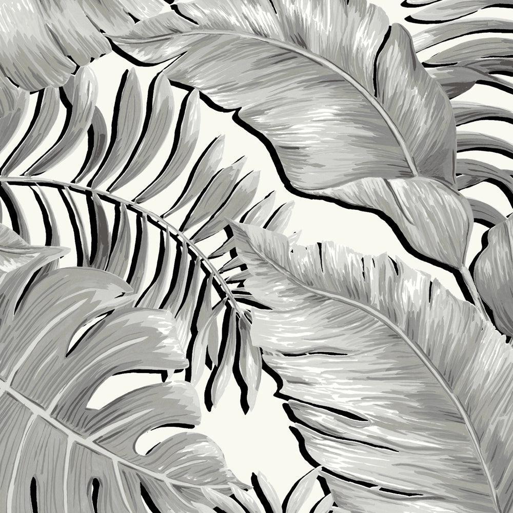 Brand McKenzie Banana Leaves Max Black & White Wallpaper-Beaumonde