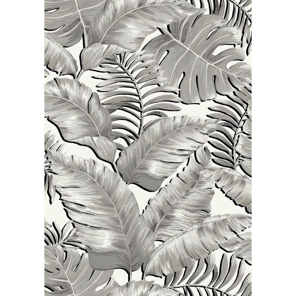 Brand McKenzie Banana Leaves Max Black & White Wallpaper-Beaumonde