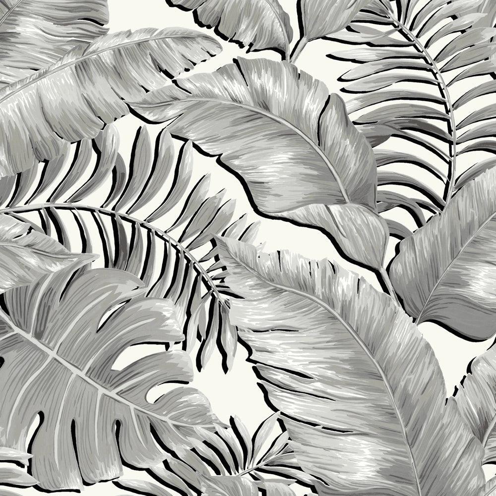 Brand McKenzie Banana Leaves Standard Black & White Wallpaper-Beaumonde