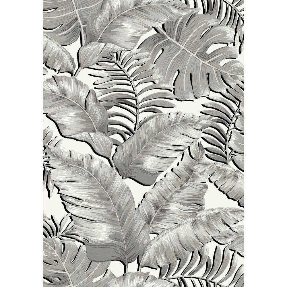 Brand McKenzie Banana Leaves Standard Black & White Wallpaper-Beaumonde