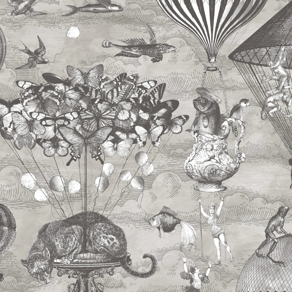 Brand McKenzie Curious Skies Black & White Wallpaper-Beaumonde