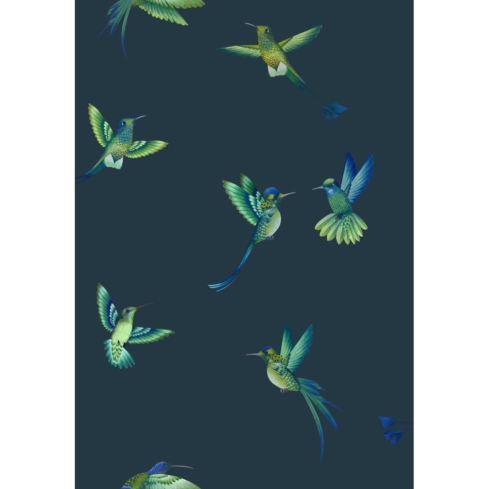 Brand McKenzie Exotic Birds Midnight Blue Wallpaper-Beaumonde