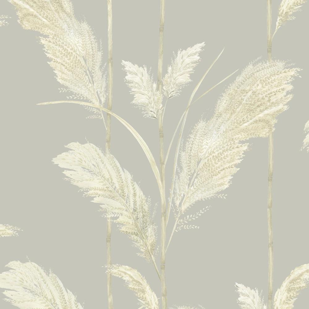 Brand McKenzie Pampas Grass Neutral Grey Wallpaper-Beaumonde