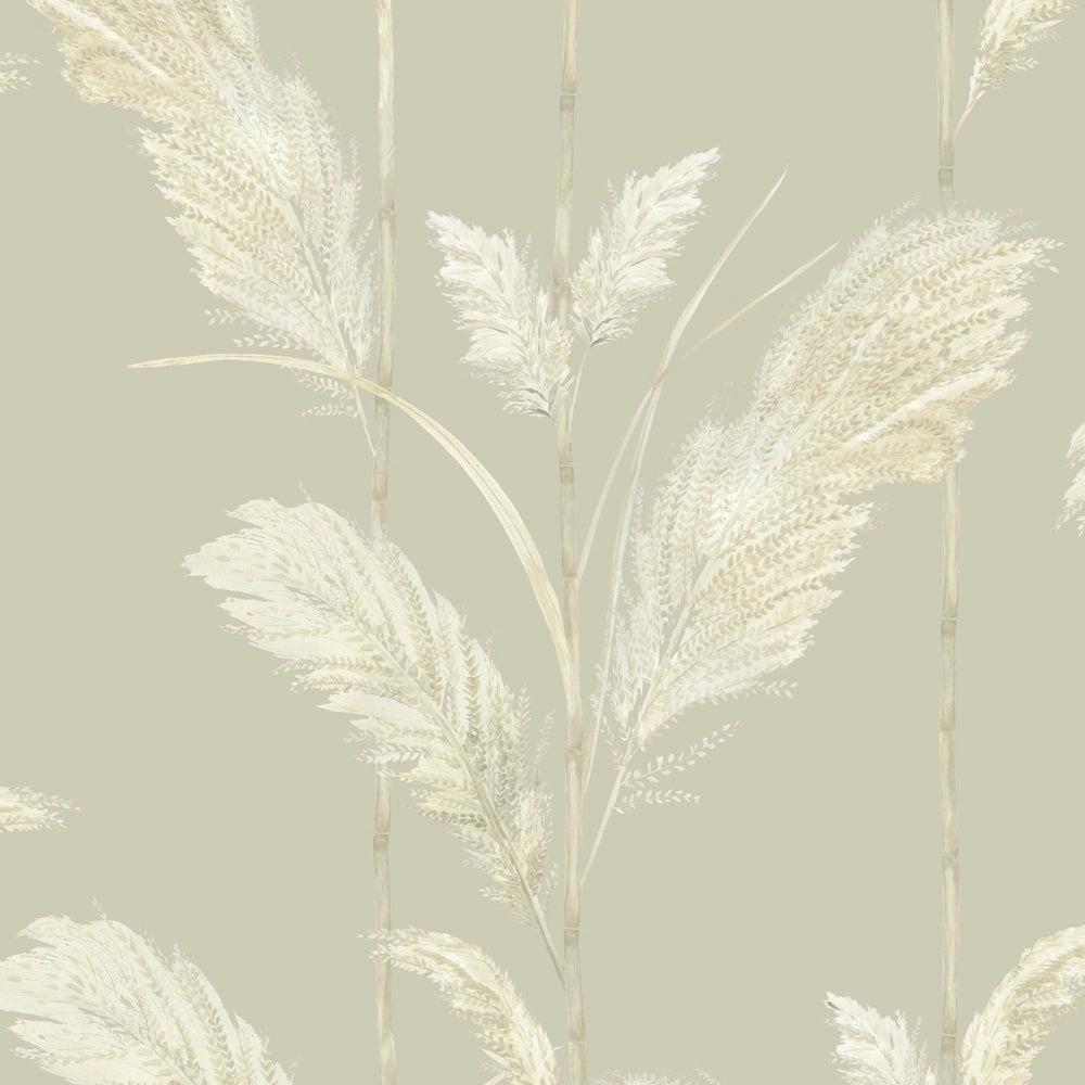 Brand McKenzie Pampas Grass Oatmeal Wallpaper-Beaumonde