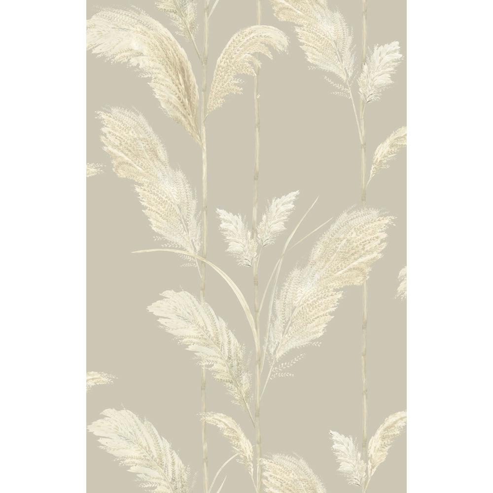 Brand McKenzie Pampas Grass Oatmeal Wallpaper-Beaumonde