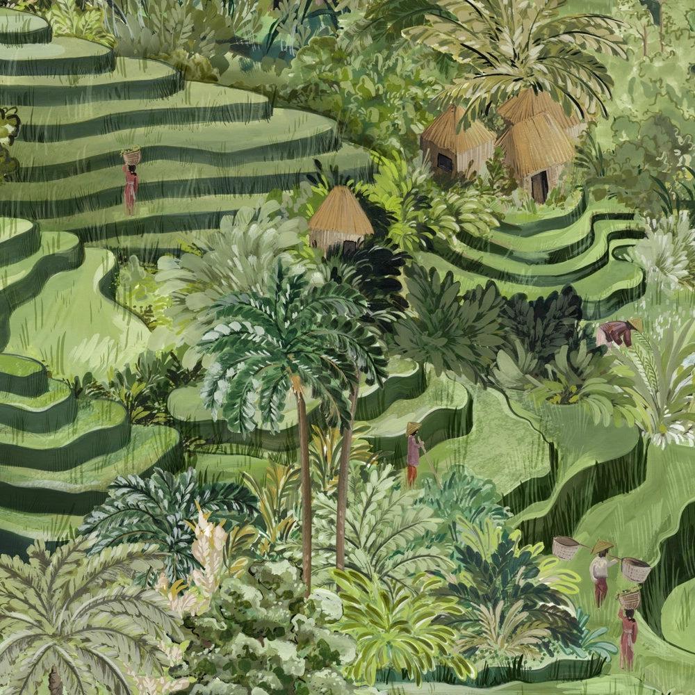 Brand McKenzie Rice Terrace Max A & B Rolls Grass Green Wallpaper-Beaumonde